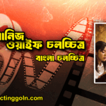দ্যা জাপানিজ ওয়াইফ চলচ্চিত্র