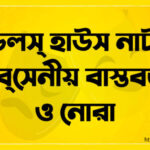 এ ডলস্ হাউস নাটকে ইব্‌সেনীয় বাস্তবতা ও নোরা